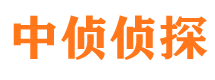 武邑外遇调查取证